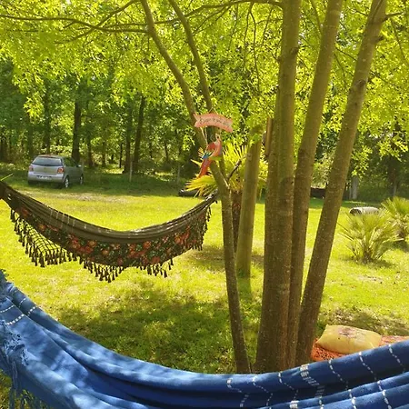 Chez Kelly Du Brasil Gæstehus Aureilhan (Landes)